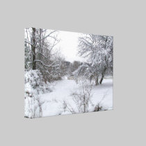 Winter Wonderland canvas prints