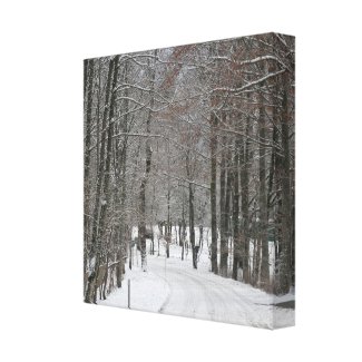 Winter Wonderland (Germany) Print wrappedcanvas