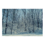 Winter Wonderland II posters