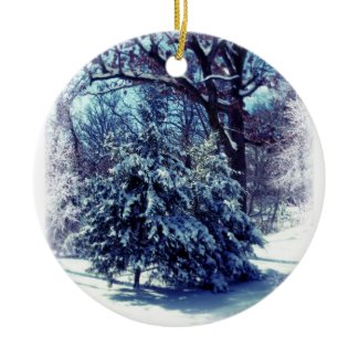 Winter Wonderland Keepsake Ornament