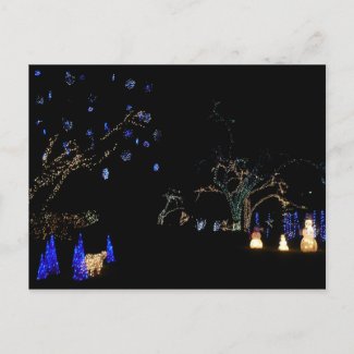 Winter Wonderland Lights Postcard postcard