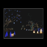 Winter Wonderland Lights Postcard
