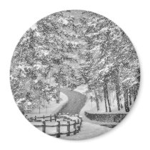 Winter Wonderland Magnet