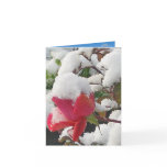 Winter Wonderland Note Card Winter Wonderland Note Card