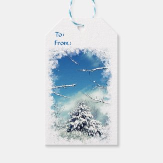 Winter Wonderland Pack of Gift Tags