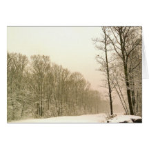"Winter Wonderland" Photo Greeting Card