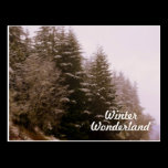 Winter Wonderland Post Card postcards