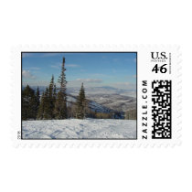 Winter Wonderland postage