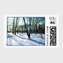 'Winter Wonderland' Postage stamps