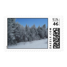 Winter Wonderland Postage Stamp