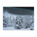 Winter Wonderland Postcard