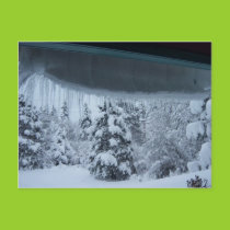 Winter Wonderland Postcard
