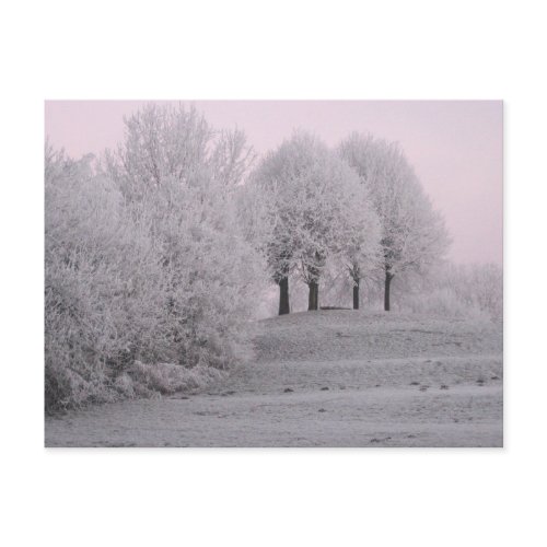 Winter wonderland