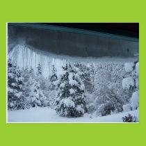 Winter Wonderland Postcard postcards