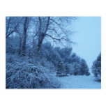 Winter Wonderland Postcard