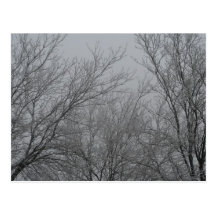 Winter Wonderland Postcards