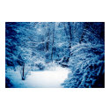 Winter Wonderland posters