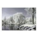 Winter Wonderland posters