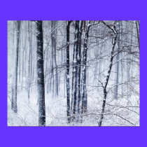 Winter Wonderland posters by skytopian Winter Wonderland posters