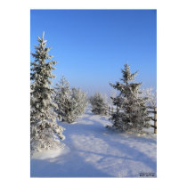 Winter Wonderland Poster posters