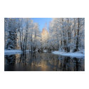 Winter Wonderland posters by SweetRascal Winter Wonderland posters