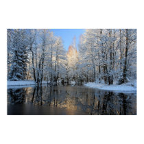 Winter Wonderland posters