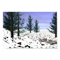 Winter Wonderland posters by coper_32 Winter Wonderland posters