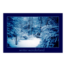 Winter Wonderland posters