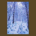 Winter Wonderland posters by FreemanDesigns Winter Wonderland posters