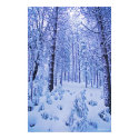 Winter Wonderland posters