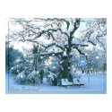 winter wonderland Poster posters