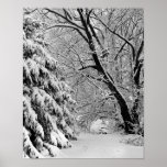 Winter Wonderland Poster