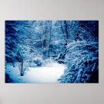 Winter Wonderland posters