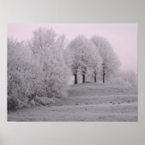 Winter wonderland posters