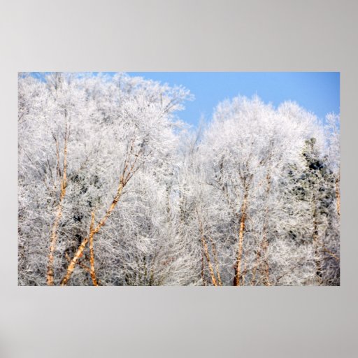 Winter Wonderland Print