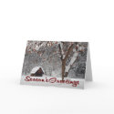 Winter Wonderland (Season's Greetings) cards