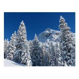 Winter Wonderland Snow Covered Trees Mountains Postcard