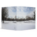 winter wonderland, snow, trees and sky binder