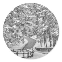 Winter Wonderland Sticker
