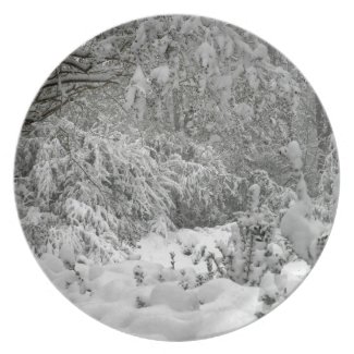 Winter Wonderland Woods in the Snow Photo Plate
