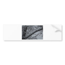 Winter wonderlands bumper sticker