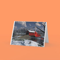 Winter Wonders cards