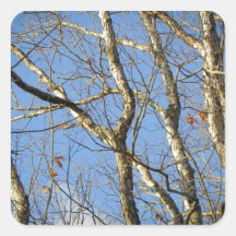 Winter Woodland Square Stickers