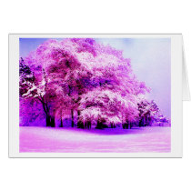 WINTER WOODS IN THE SNOW cards