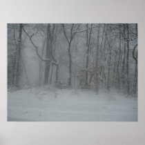 Winter Woods Poster