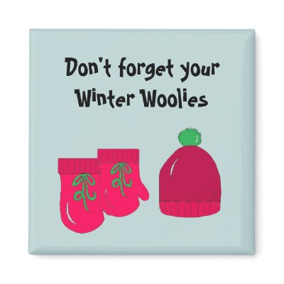 Winter Woolies...magnet by seashell2