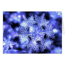 snow, snowflake, ice, crystal, Kort med brugerdefineret grafisk design