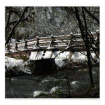 wINTERBRIDGE posters