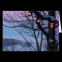 Winterlight note card By Seay cards