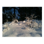 Wintermood in Bergen Post Card